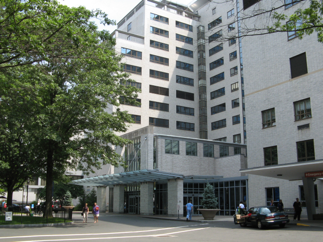 Wikimedia Commons via elipongo